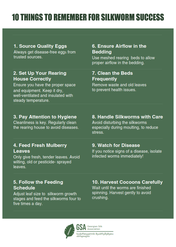 10 Things for Silkworm Success